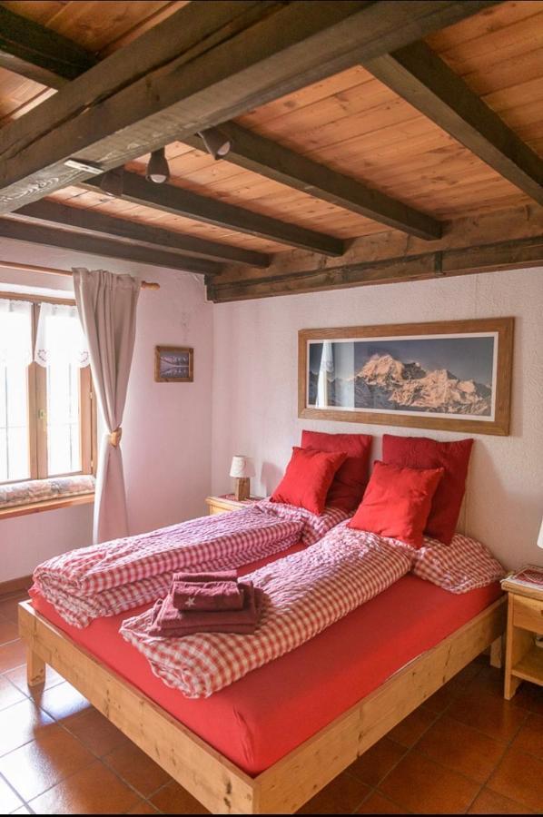 Coeur De Montagne Apartment Gignod Екстериор снимка